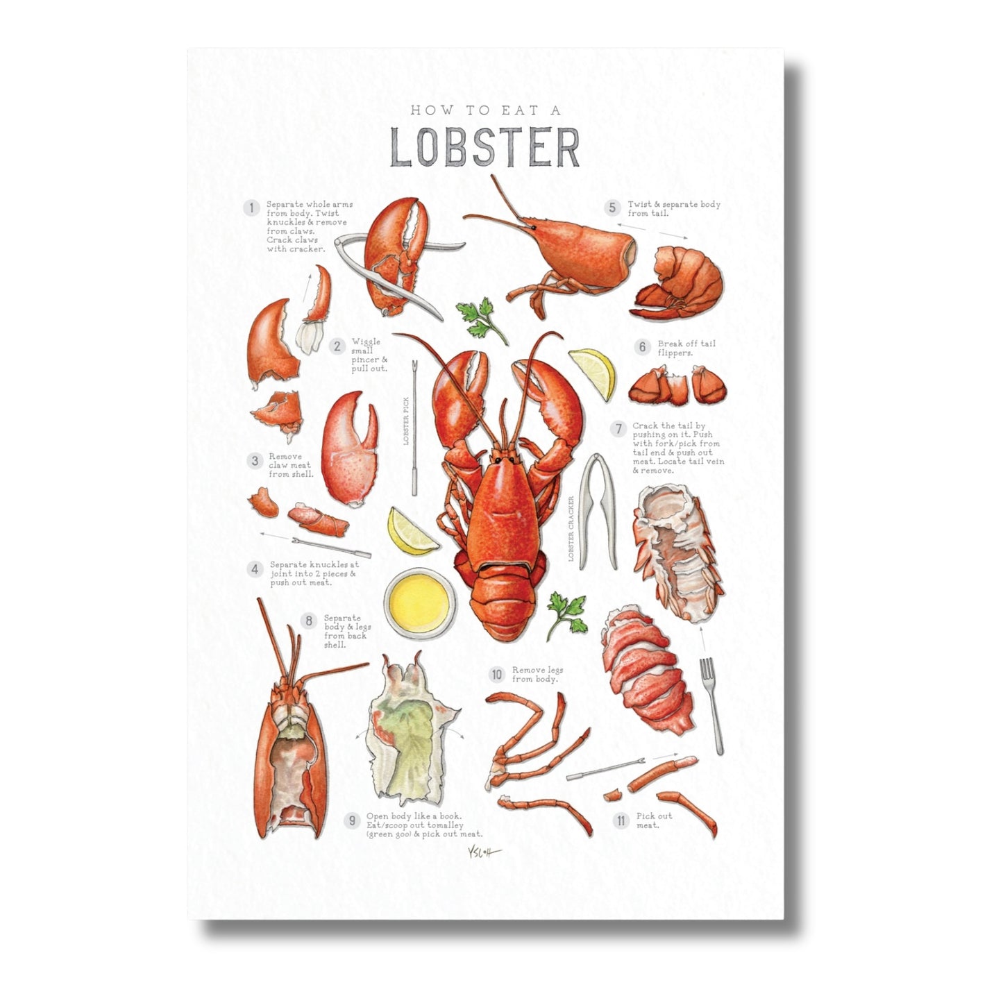 How to Eat a Lobster Print