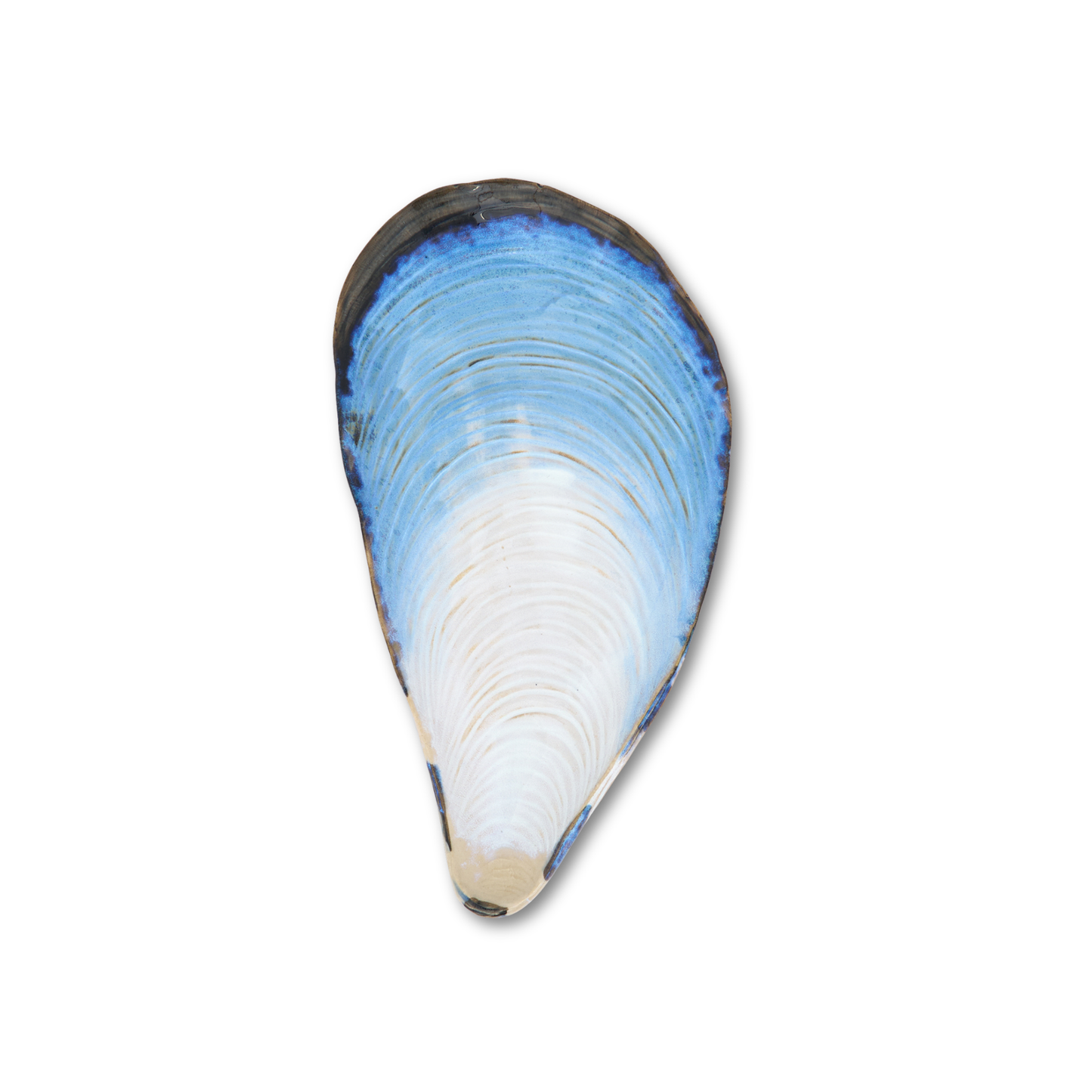 Ceramic Oyster Plates