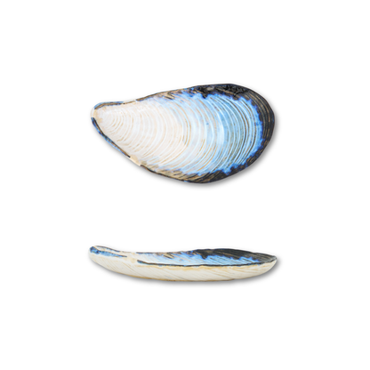 Ceramic Oyster Plates