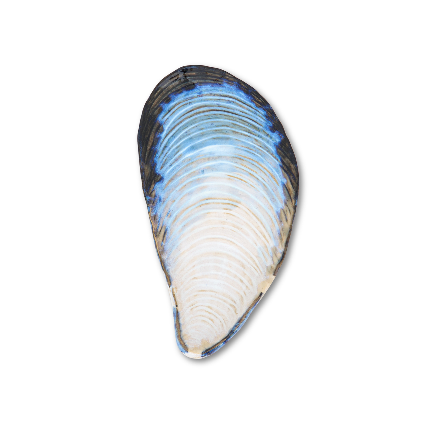 Ceramic Oyster Plates