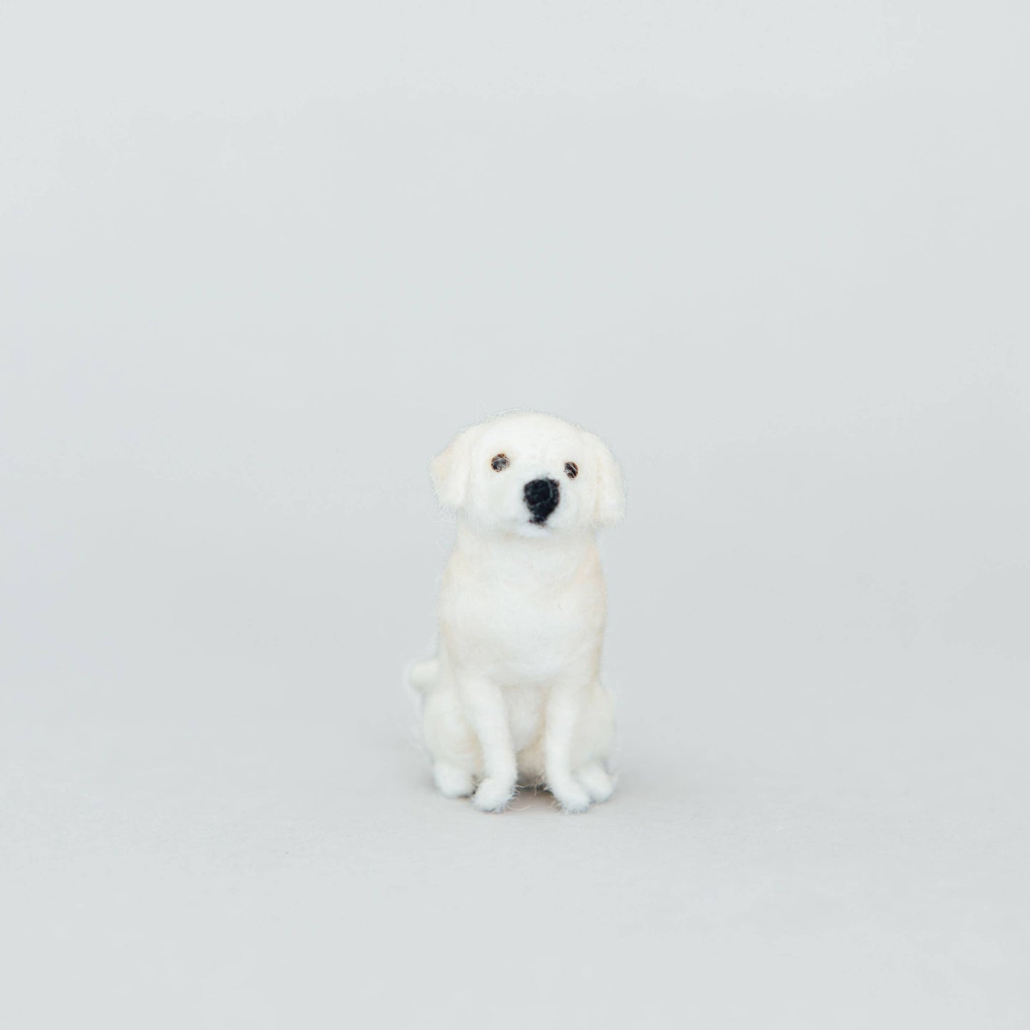 Dog Needle-Felting Kits