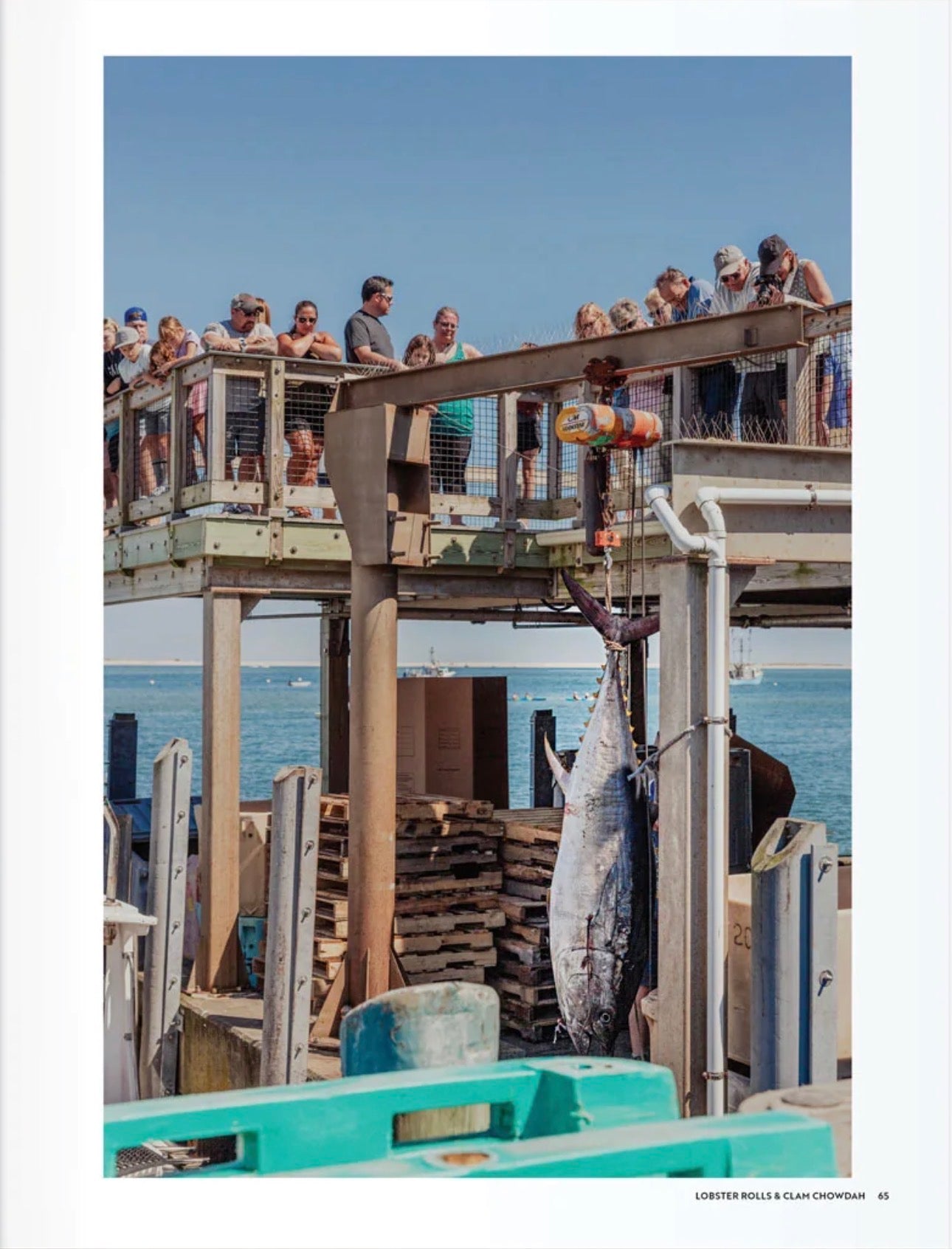 Coastal Granddaughter Book