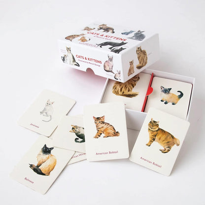 Cats & Kittens Memory Game
