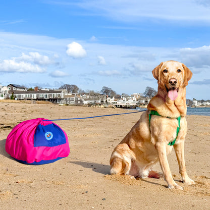 The Dog Anchor