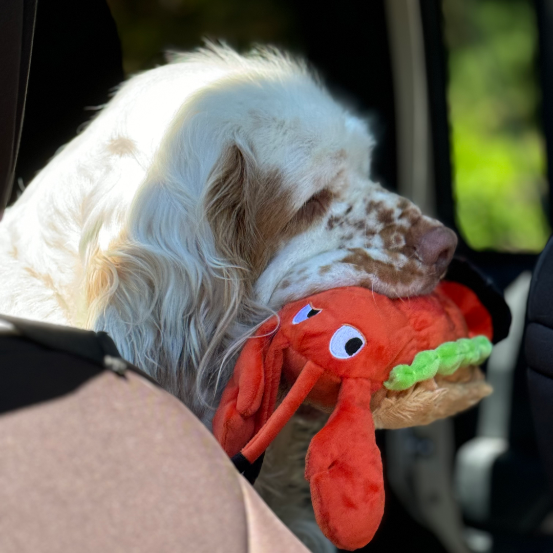 Lobsta Roll Dog Toy