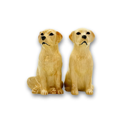 Lab Salt & Pepper Shakers