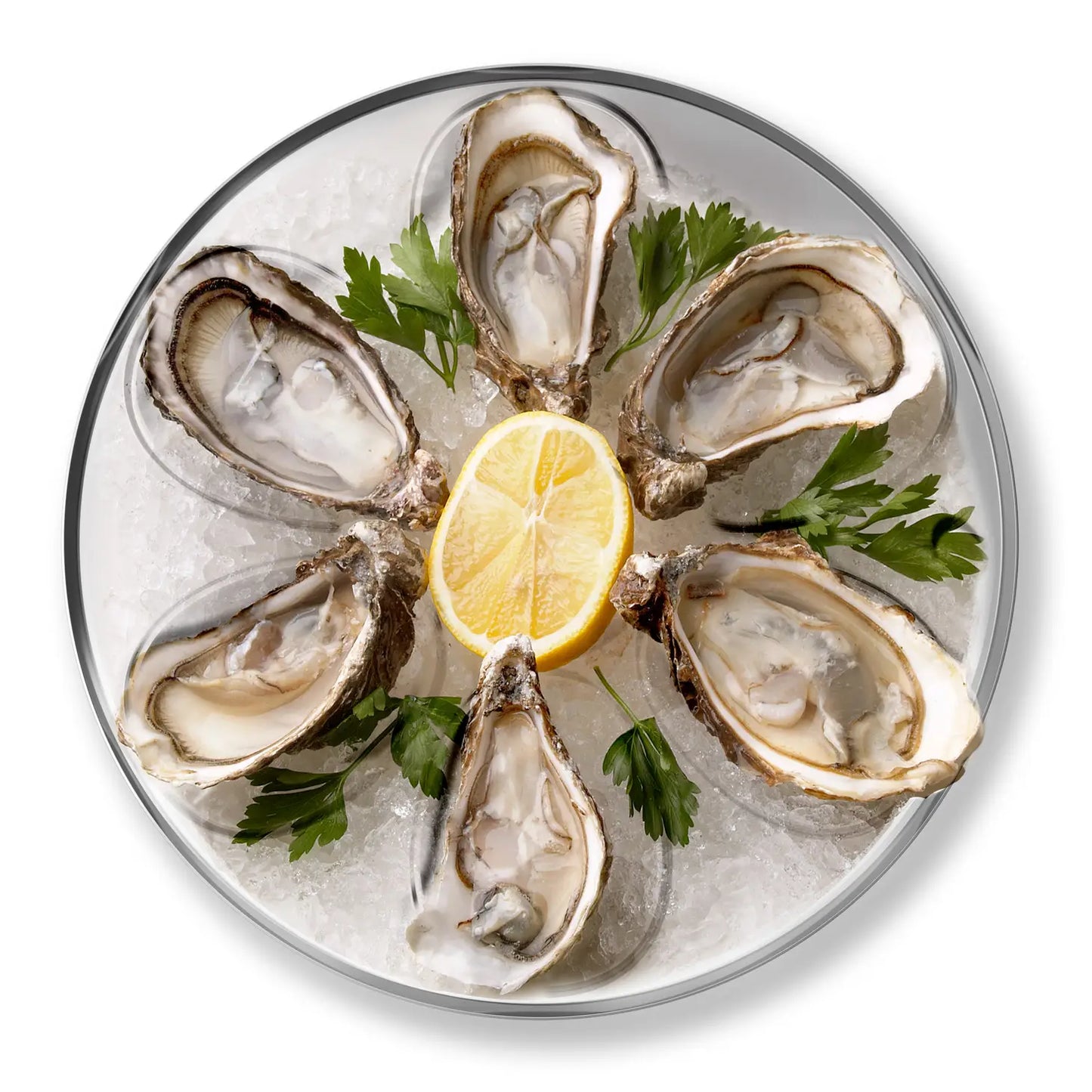 Stainless Steel Oyster Tray