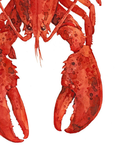 Lobster Watercolors