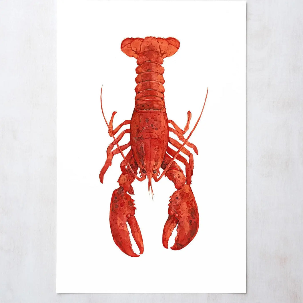 Lobster Watercolors