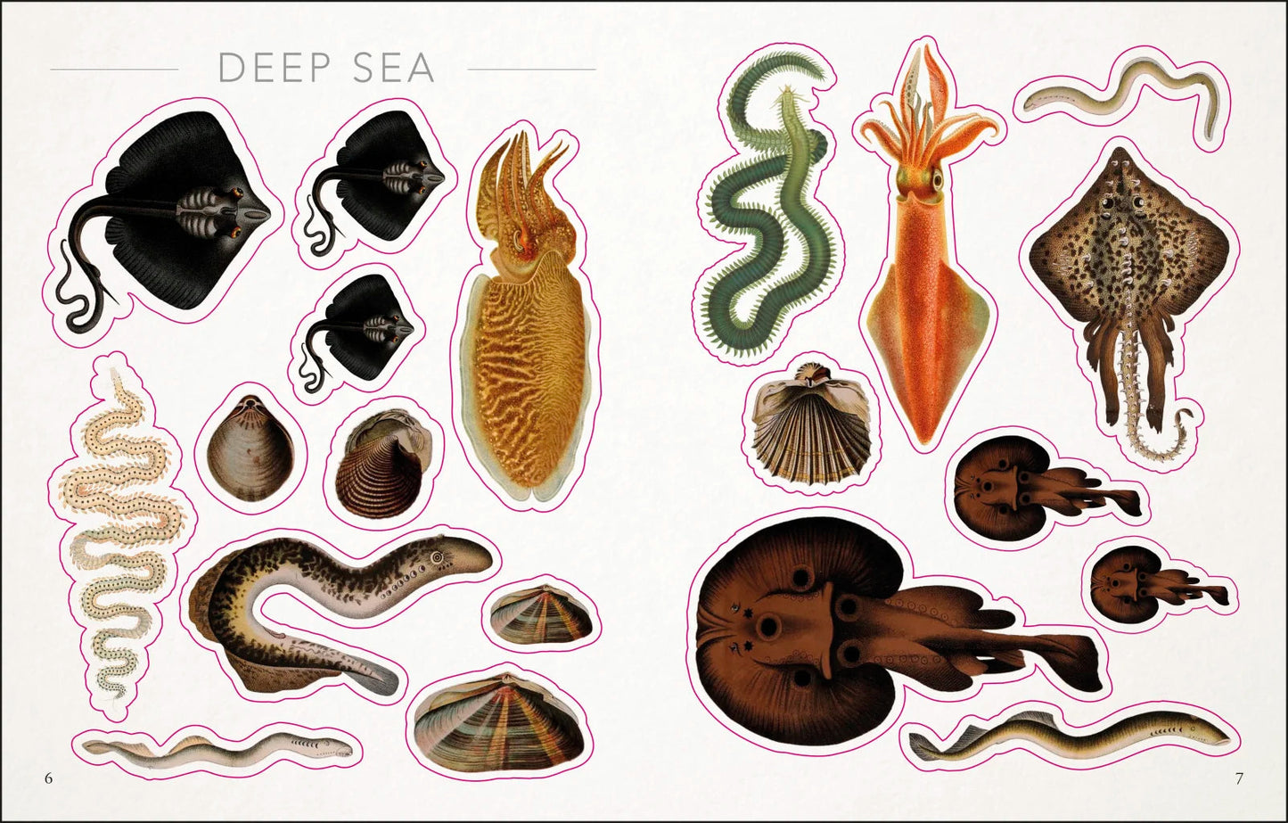 The Seashore Sticker Anthology Book