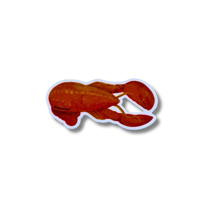 Avery Reed Die-Cut Stickers