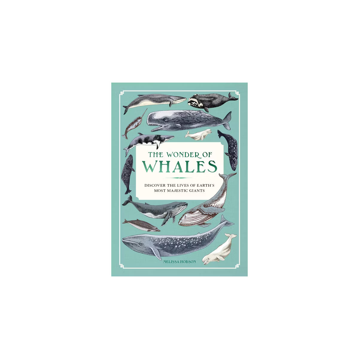 The Wonder of Whales-Melissa Hobson