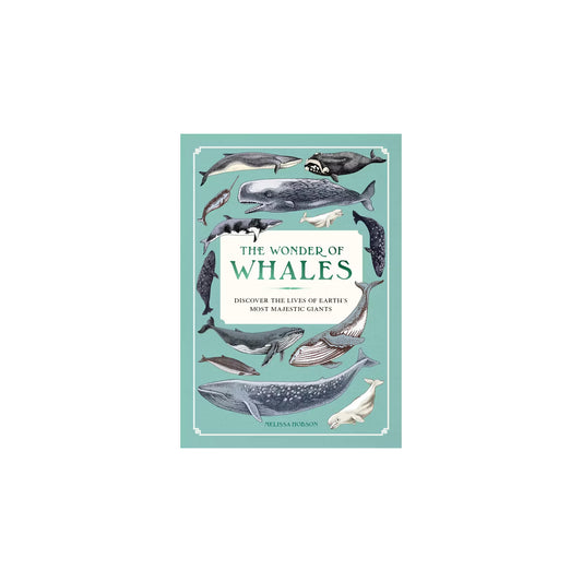 The Wonder of Whales-Melissa Hobson
