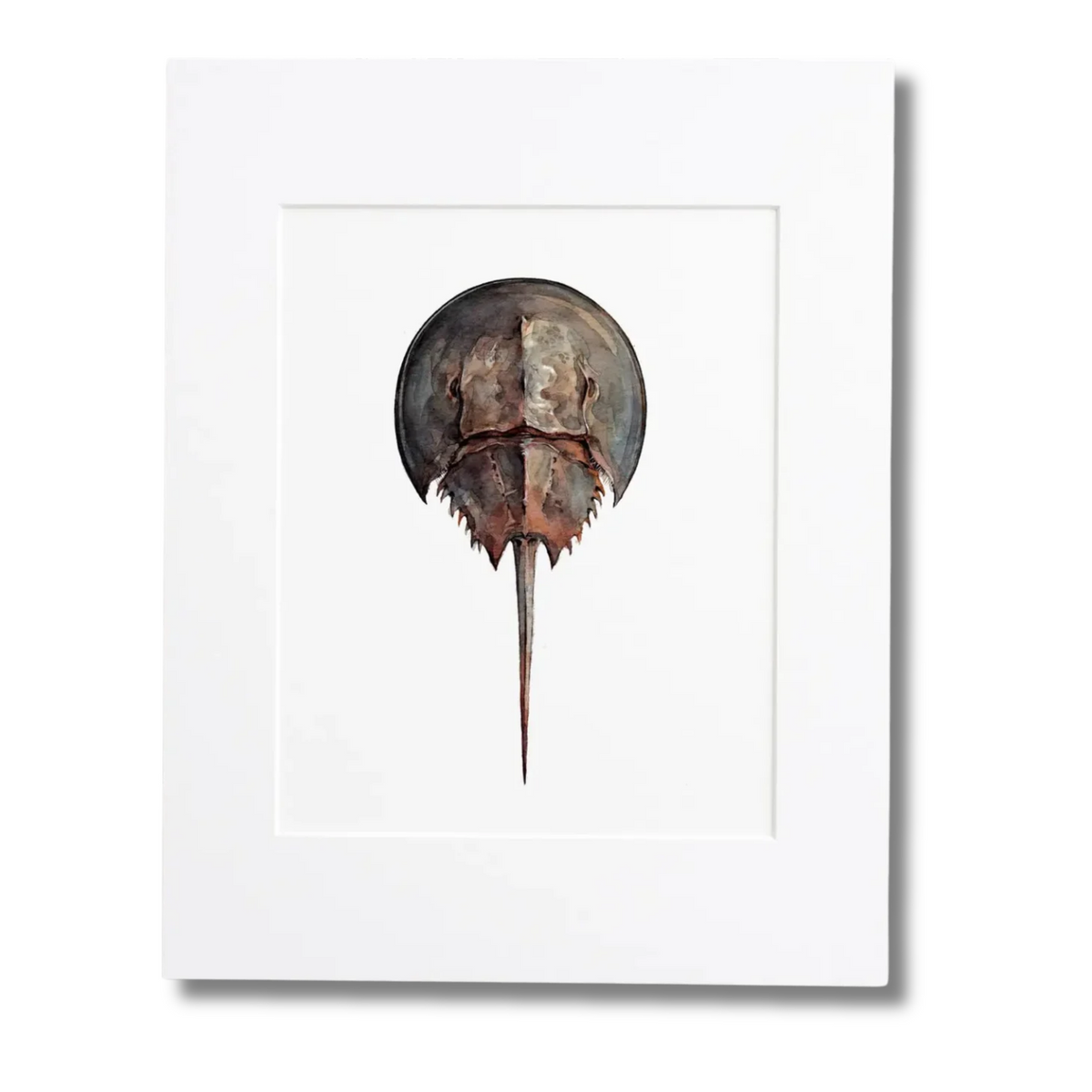 Horseshoe Crab Print
