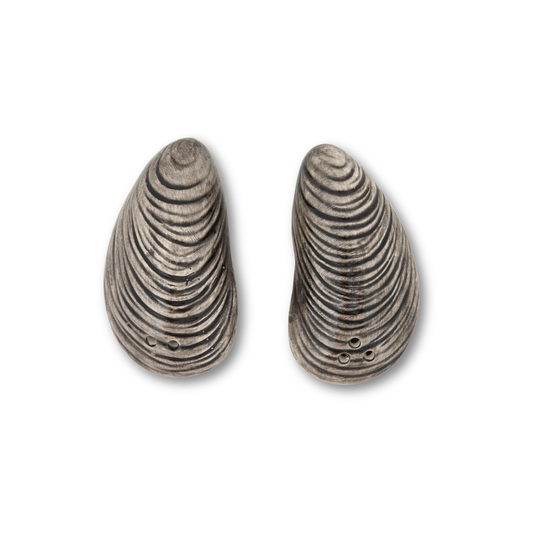 Oyster Salt & Pepper Shakers