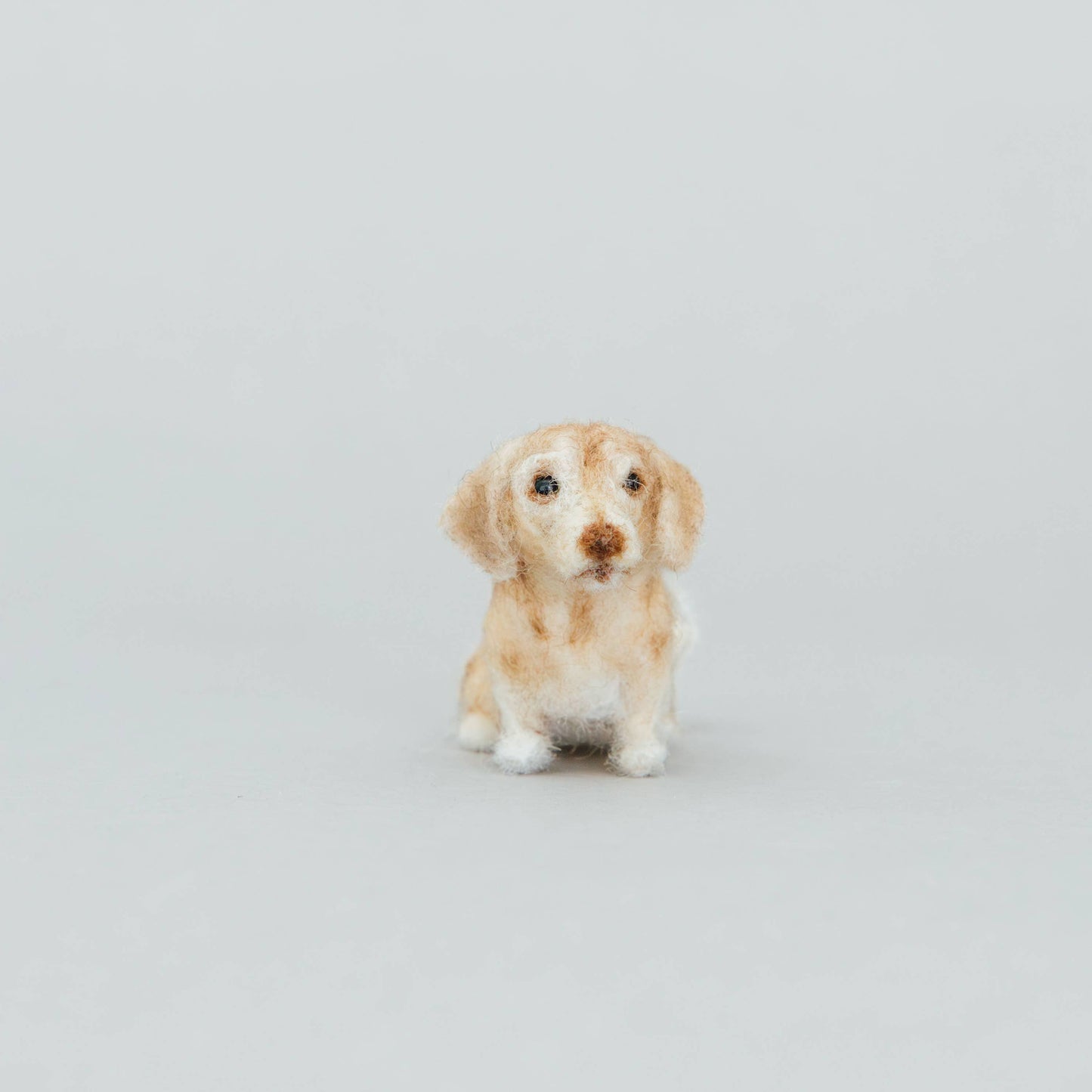 Dog Needle-Felting Kits
