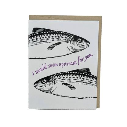 I would Swim Upstream for You