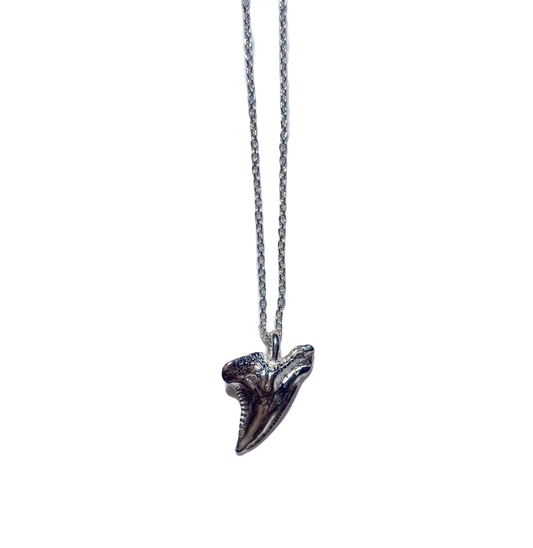 Silver Shark Tooth Necklace