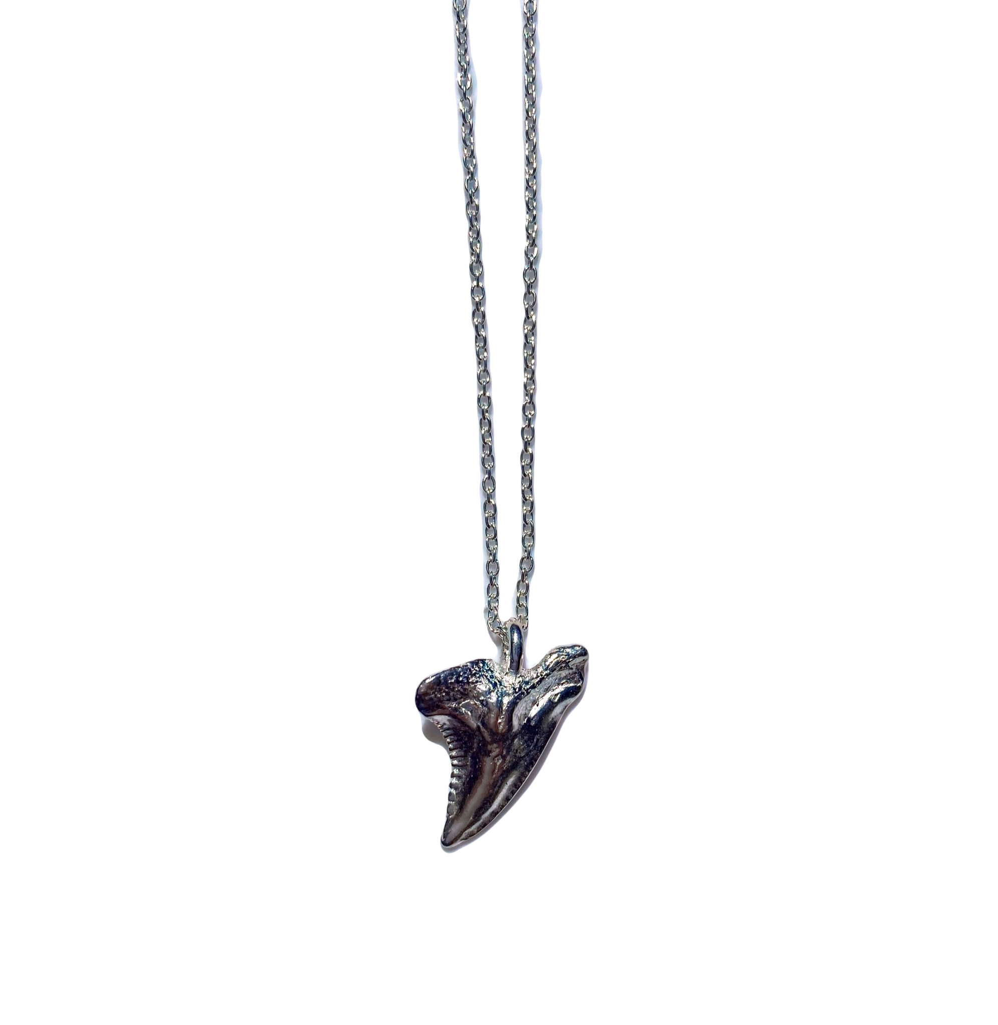 Mako Shark Tooth Necklace - St Valentine's Boyfriend Gift Idea –  Oceanicshark