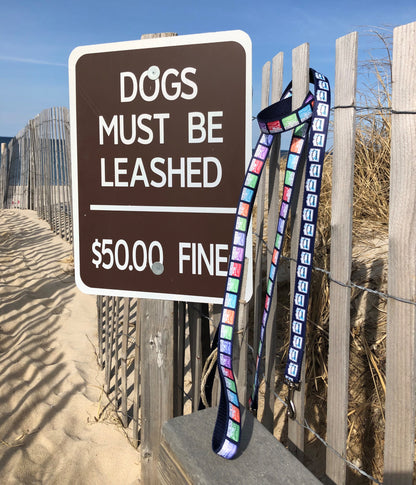 Nantucket & Cape Leashes