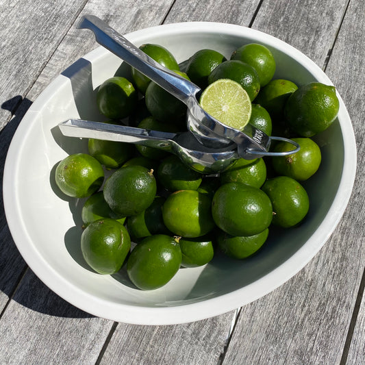 Handheld Juicer