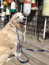 Load image into Gallery viewer, Nantucket &amp; Cape Leashes
