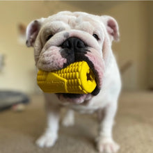 Load image into Gallery viewer, Corn on the Cob Dog Toy
