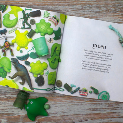 I Sea-A Beachcombing Treasure Hunt Book