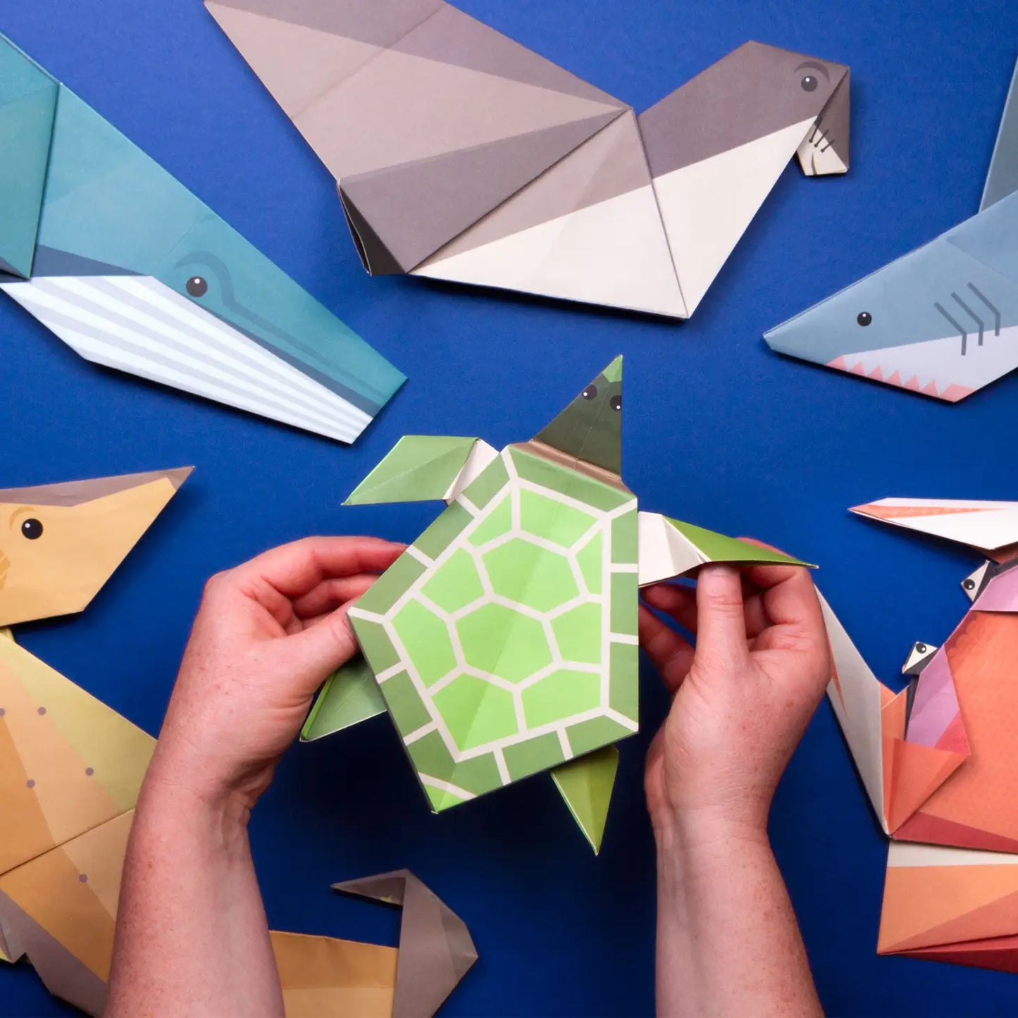 Giant Ocean Origami