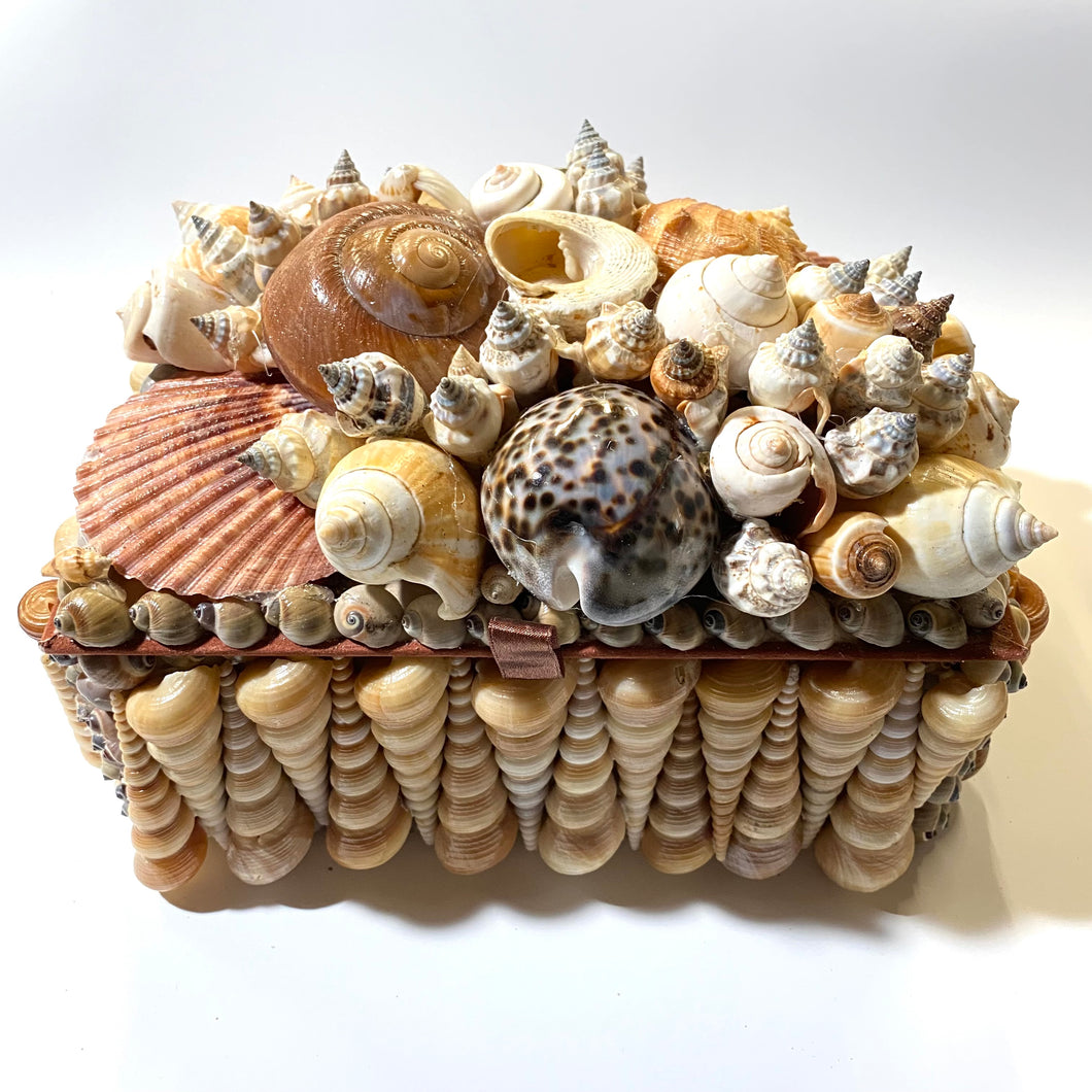 Shell Covered Box