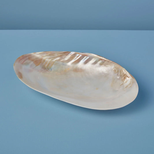 Seashell Footed dish