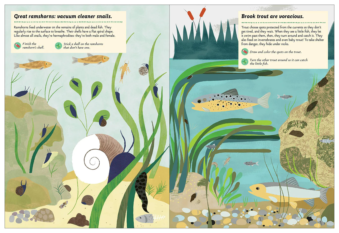 Streams & Ponds-My nature sticker activity book