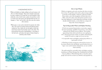 50 Things to do at the Beach Book