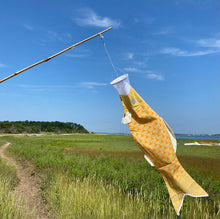 Load image into Gallery viewer, Fish Windsock-Large
